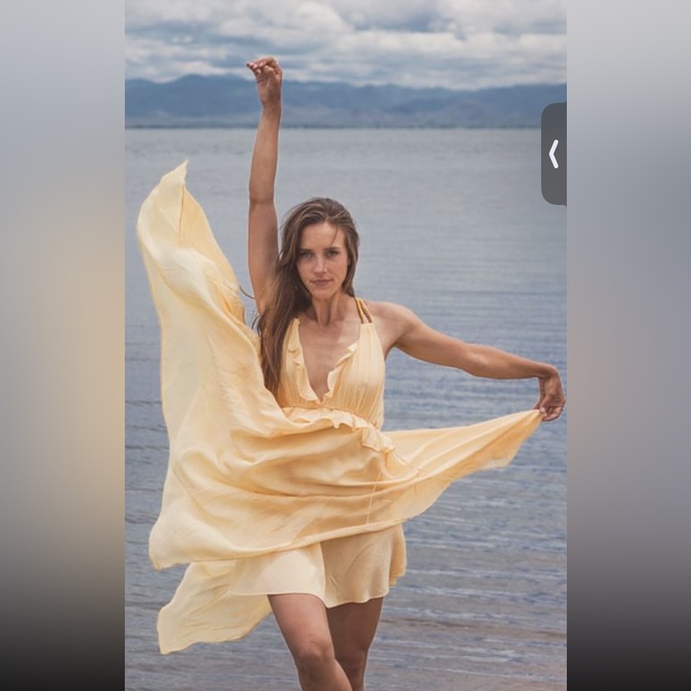100% silk Express dress